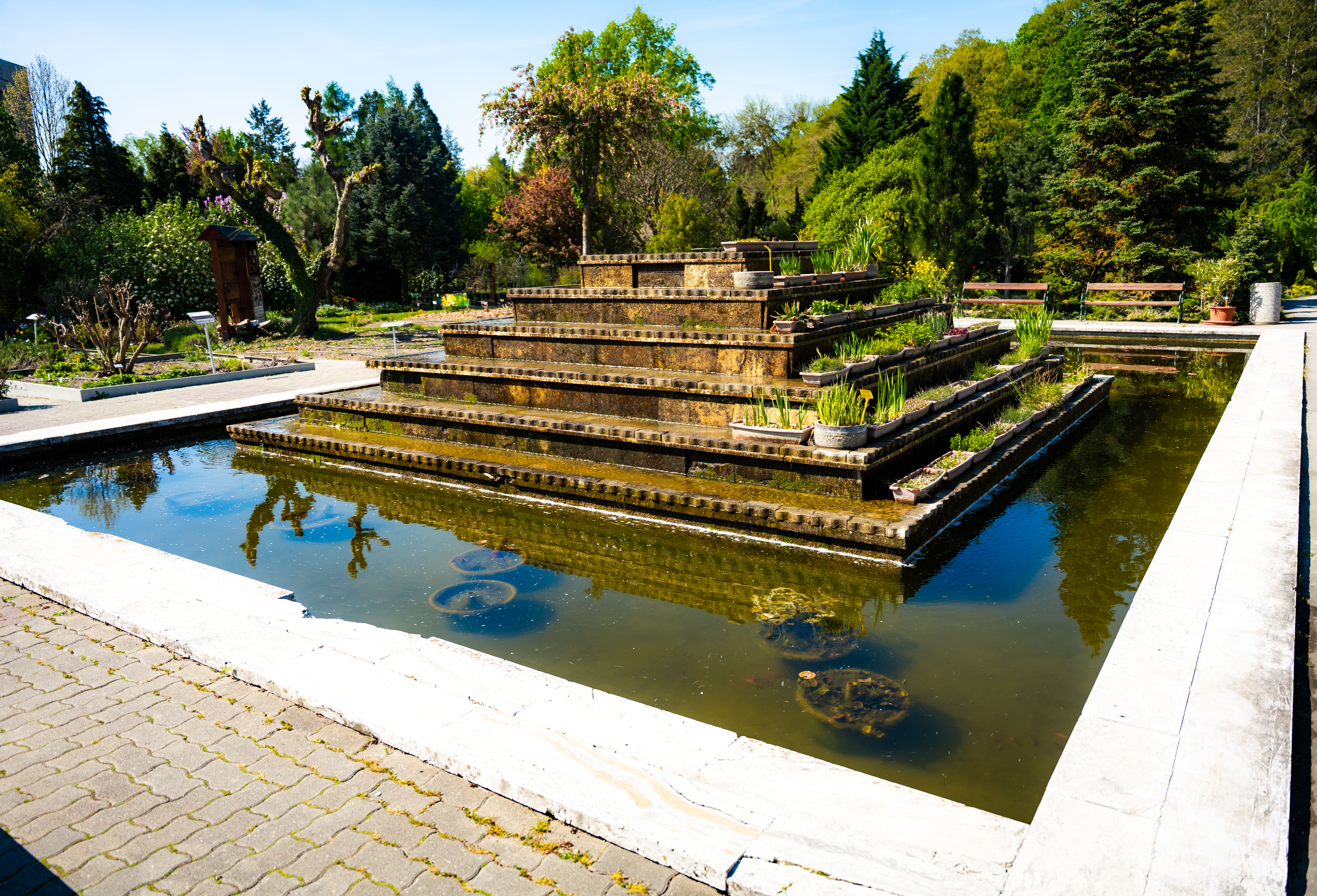 Slavnostne zasadenie stromu do Aleje vyznamnych osobnosti Botanickej zahrady UPJS-1-10